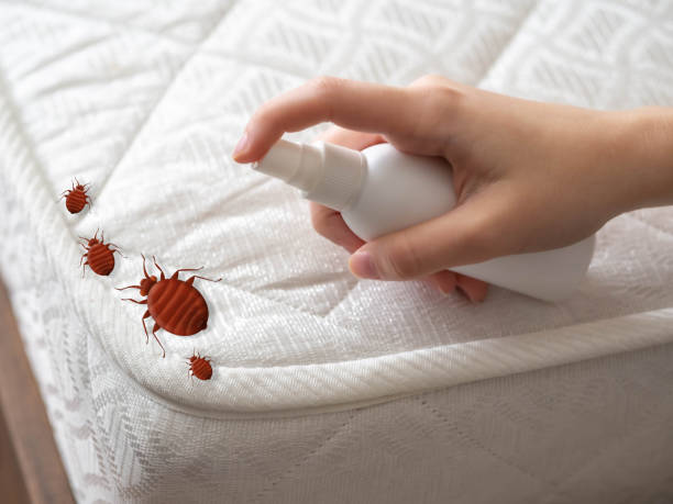 Best Commercial Pest Control Services  in Goldens Bridge, NY
