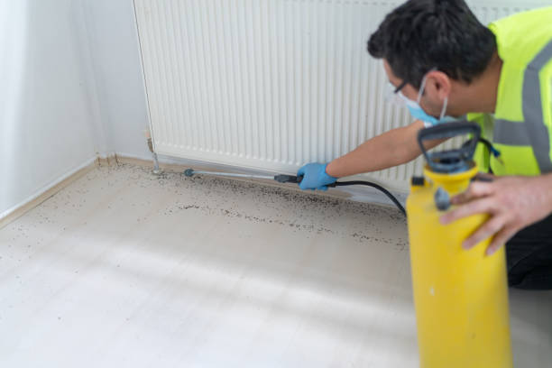 Best Pest Control for Restaurants  in Goldens Bridge, NY